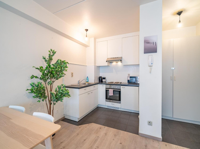 Kitchen 5, Lavish apartment in Antwerp, Antwerpen