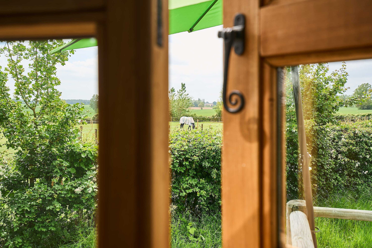 Room 5, Host Stay Shepherds View, Norfolk
