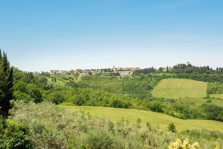 View from property, Casa Greta - Flo Apartments 34, Florence