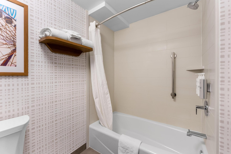 Bathroom 4, Hampton Inn Chicago - Gurnee, Lake