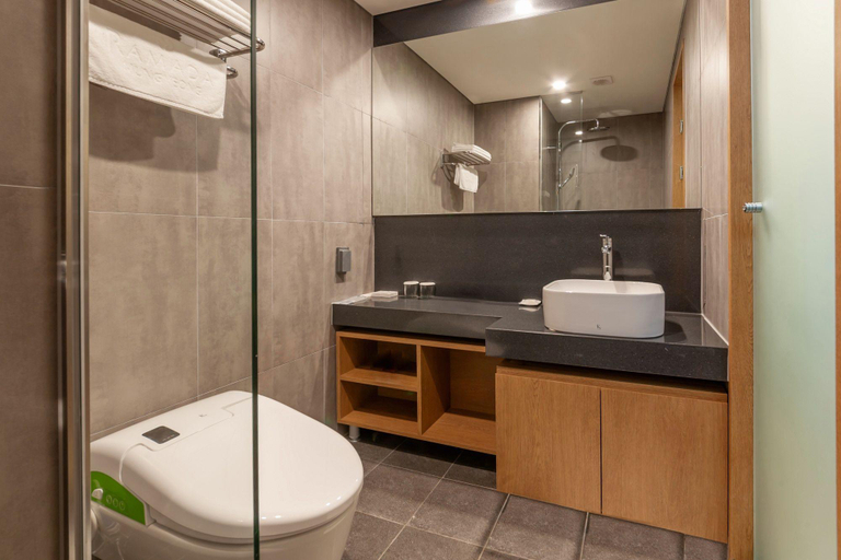 Bathroom 4, Petro Hotel, Mungyeong