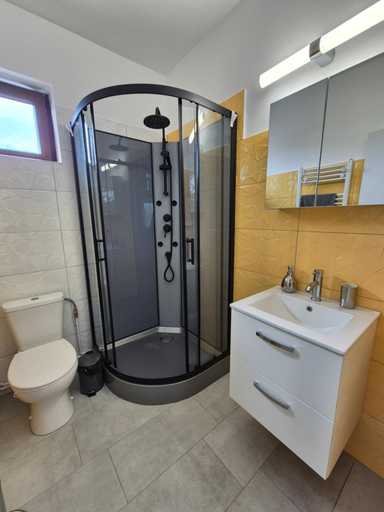 Bathroom, Casa Novis, Baicoi