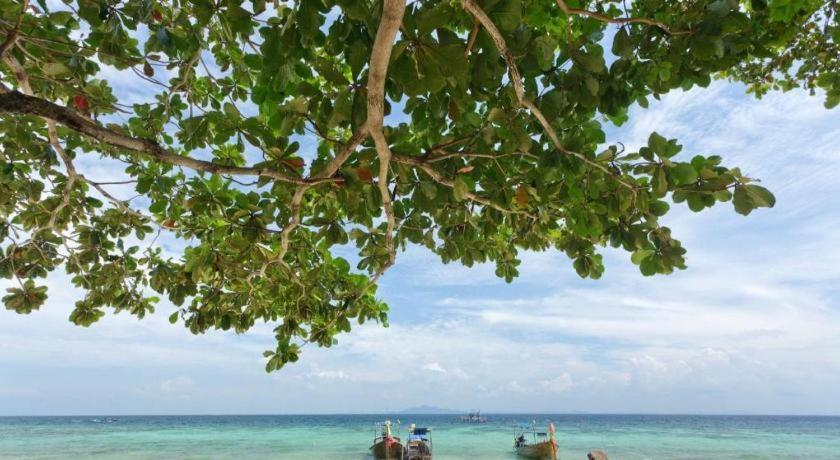 Others 4,  Phi Phi Paradise Hostel , Mueang Krabi