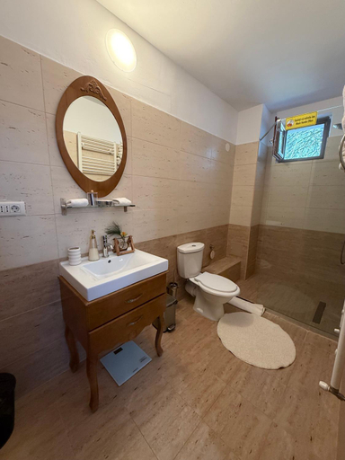 Bathroom, Cabana Din Poienita, Brasov