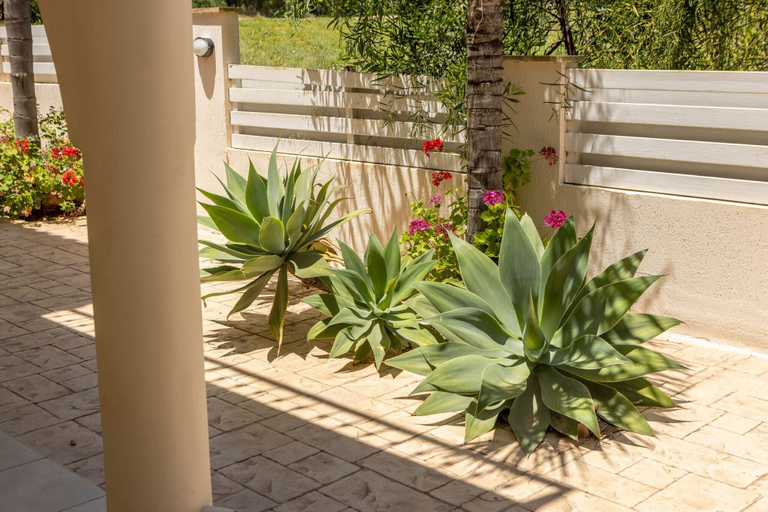 Exterior detail 4, Protaras Seaside Villa Andria