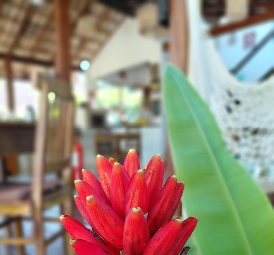 Food & Drinks 5, Planeta Banana B&B, Parati