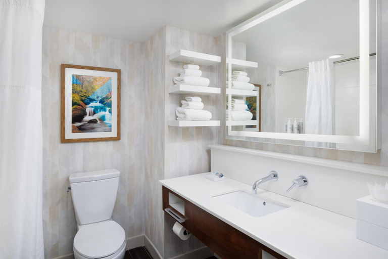 Bathroom 4, Hampton Inn Oak Ridge Knoxville, Anderson