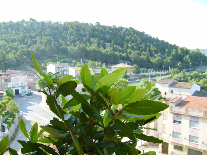 Exterior & Views 2, Hotel Meson El Castillo, Alicante