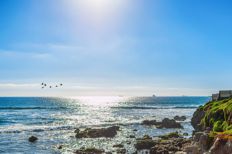 Beach 5, Fantastic Dog-friendly Home With Heated Pool, Hot Tub, Partial Ocean View, Patio, Tijuana