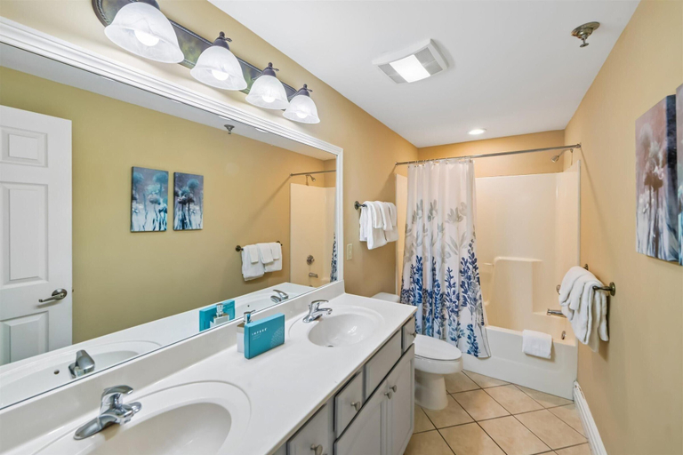 Bathroom 4, Baskins Creek 407, Sevier