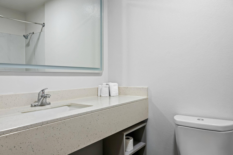 Bathroom 4, Comfort Inn & Suites, Park