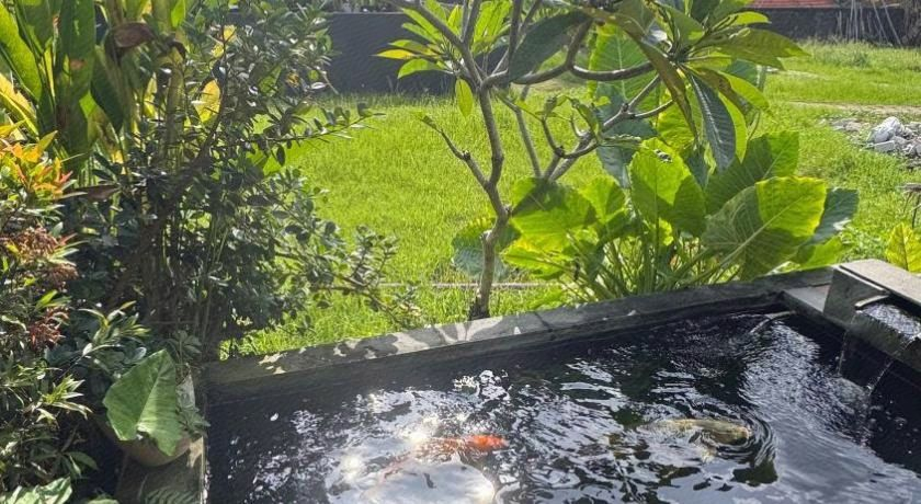 Sport & Beauty, Pondok Sarwi, Gianyar