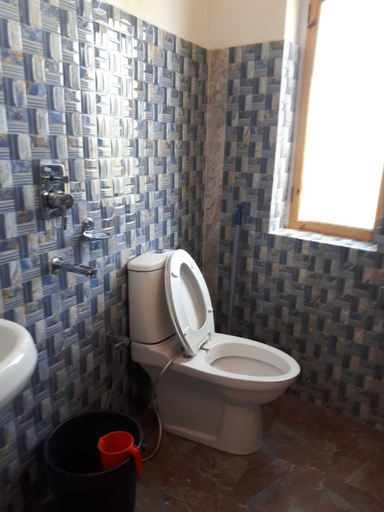 Bathroom 5, Hotel Real Siachen, Leh