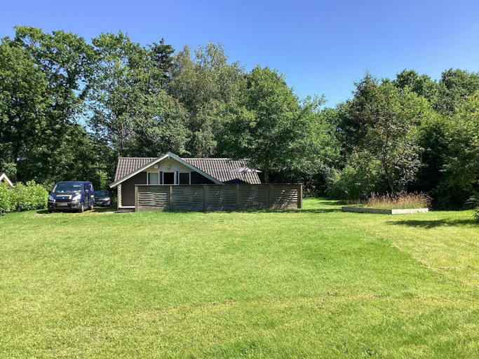 Primary image