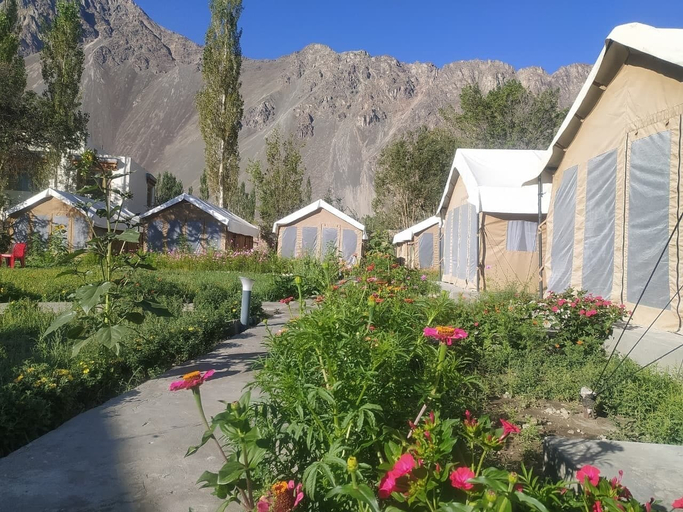 Others 5, Ldazes camp hunder Nubra, Leh