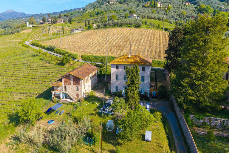 5, Villa Mon Paradis, Lucca