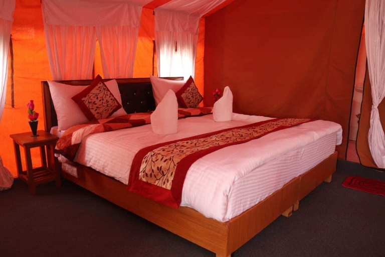 Bedroom 2, Ldazes camp hunder Nubra, Leh