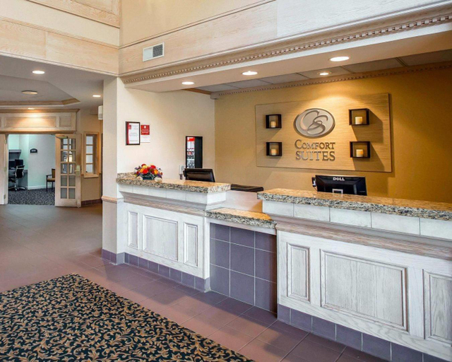 Public Area 2, Comfort Suites University Area Notre Dame - South Bend, Saint Joseph