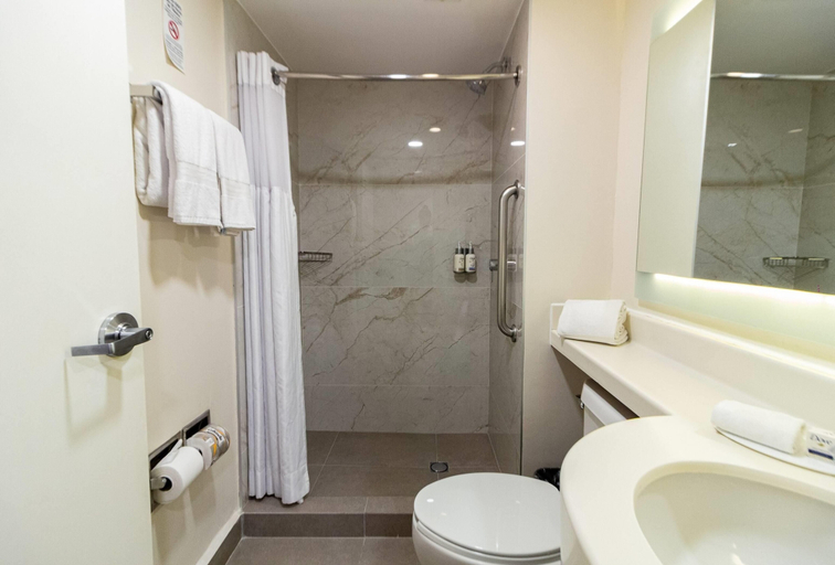 Bathroom 4, Wyndham Garden Monterrey Aeropuerto, Apodaca
