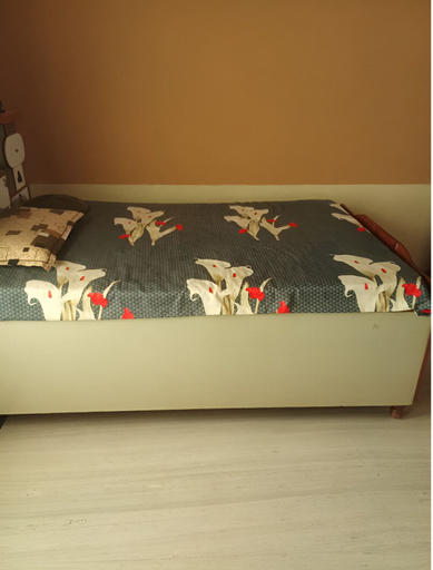 Room 2, VINITI VILLA, Jhunjhunun