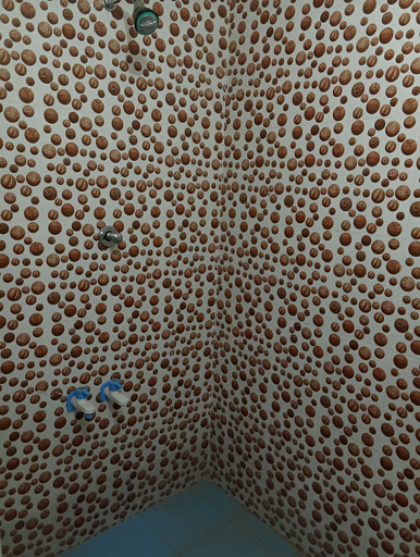 Bathroom, VINITI VILLA, Jhunjhunun