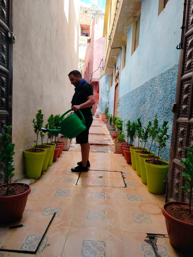 Others 4, Riad Andalousse, Meknès