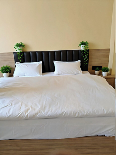 Room 5, Shree Videhi Atithi Grah, Faizabad