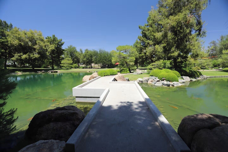 Property grounds 2, Contemporary Studio in DTPH with Pool, Maricopa