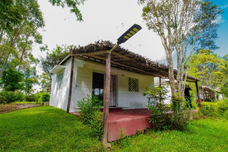 Exterior 3, OKA Forest Lodge ANDASIBE, Alaotra-Mangoro