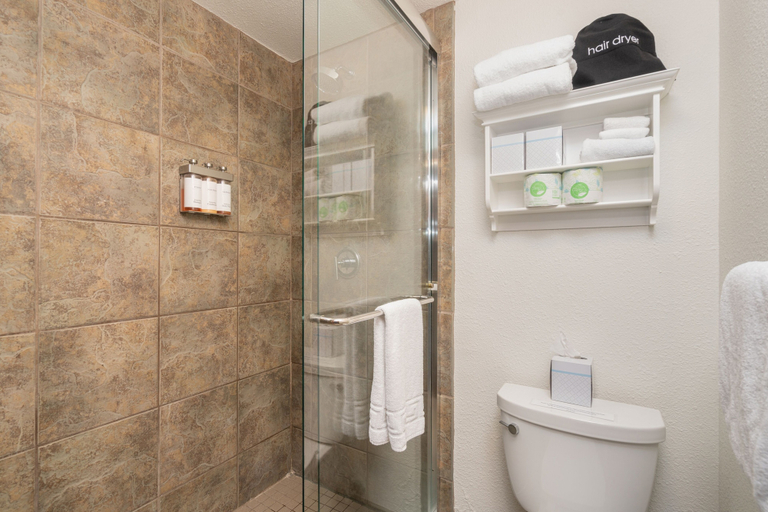 Bathroom 3, Manitou Lodge 9 Hotel Room by Alpine Lodging Telluride, San Miguel