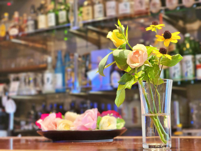 Food & Drinks 4, ゲストハウスPiko, Shingū