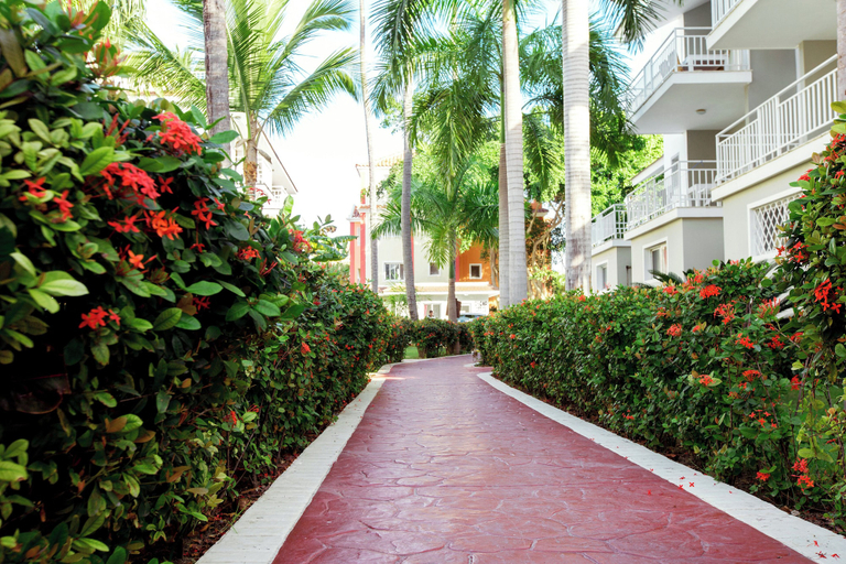 Garden 5, PALMERAS DE SOL CARIBE, Salvaleon de Higuey