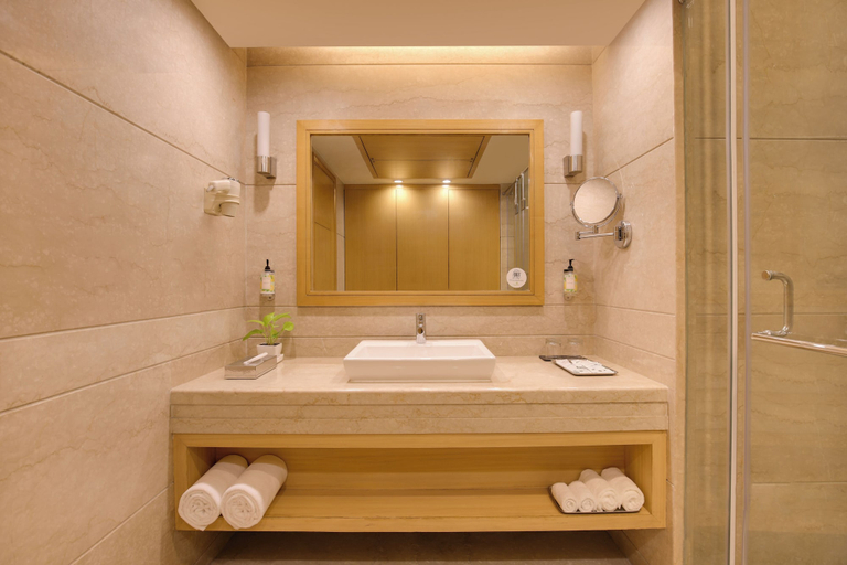 Bathroom 4, Lemon Tree Premier, Delhi Airport, Delhi