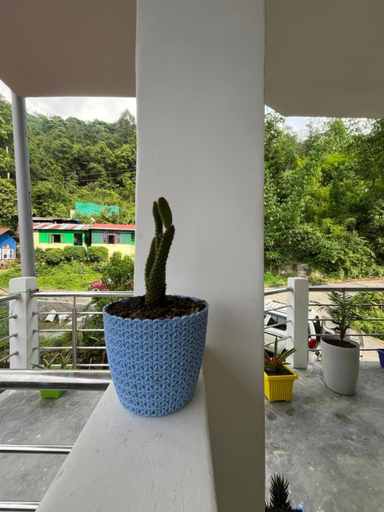Others 5, ghimiray homestay, Darjiling
