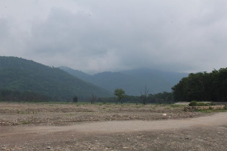 Others 2, SPARSH GANGA COTTAGE & RESORT, Dehradun