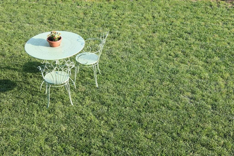 Outdoor dining 5, Be Langhe in Monforte, Cuneo