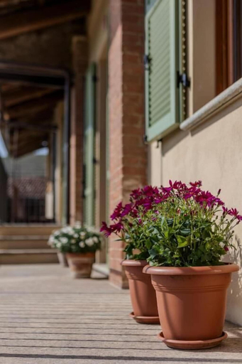 Exterior detail 3, Be Langhe in Monforte, Cuneo