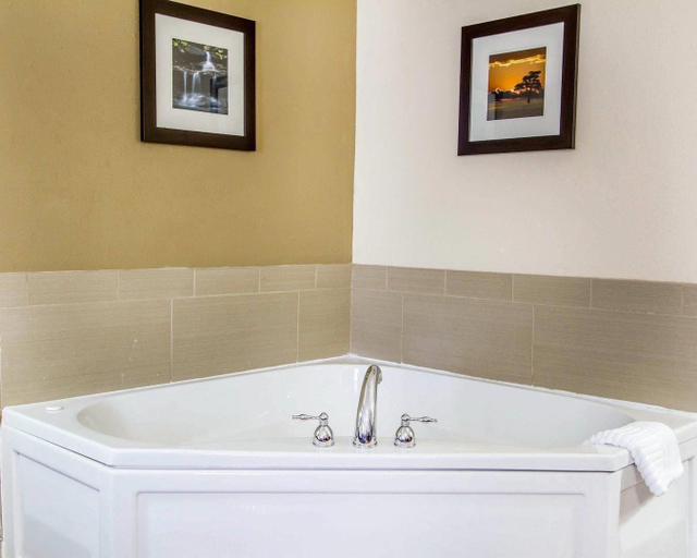 Bathroom, Comfort Inn Poplar Bluff North, Butler