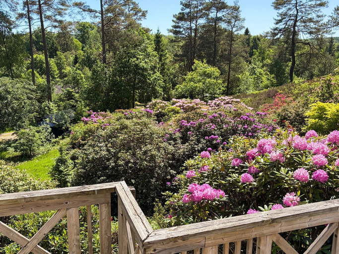 Property grounds, 4 Star Holiday Home in Silkeborg, Silkeborg