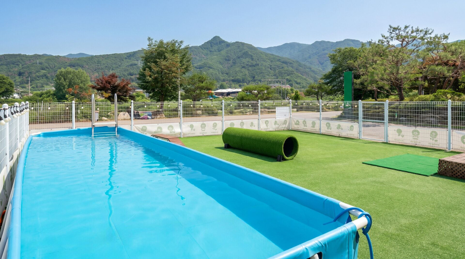 Sport & Beauty 5, Gapyeong Dangdangi Pet Pension Green, Gapyeong