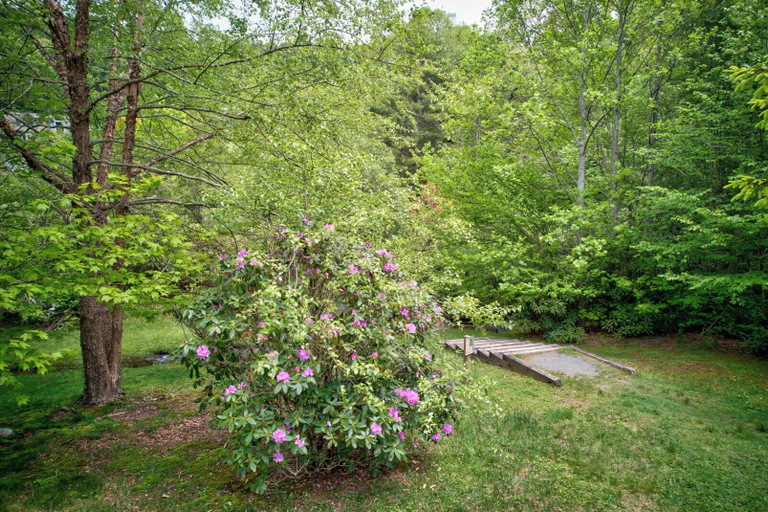 Interior 4, Chetola Berkshires 3 - 3BR With 2 Sleeper Sofas-walk To Blowing Rock, Watauga