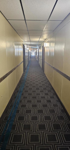 Others 5, Warrior INN, Tripp