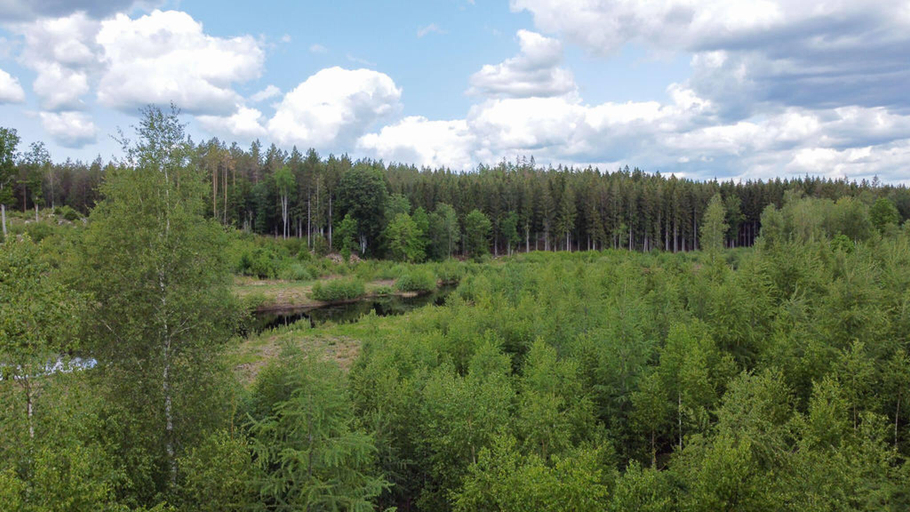 2, A Frame cottage surrounded by a forest, Ronneby