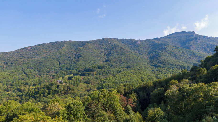 Interior 3, Little Bear Escape - Pet Friendly Luxe Custom Tiny House Hot Tub Between Boone & Banner Elk, Watauga