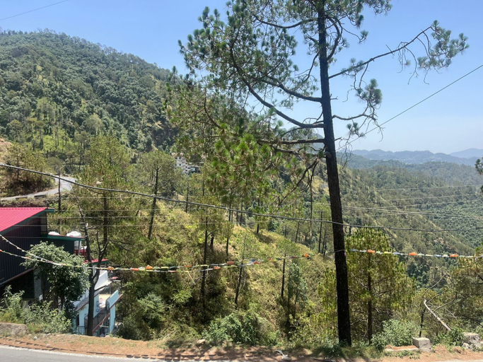 Miscellaneous, The Classic Residency Hotel & Banquet, Shimla