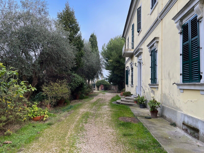 Property grounds 4, mare in pineta, Ascoli Piceno
