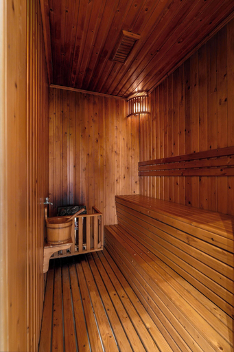 Sauna 4, Sunrise Villa Him Lam D7 with 9 bedrooms, District 7