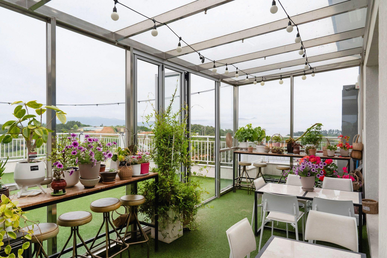 Food & Drinks, Yeosu Little Forest Pension, Yeosu