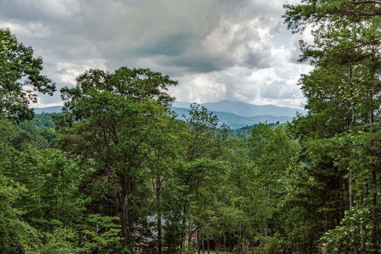 Interior 4, One More Day at Eagles Nest, Avery