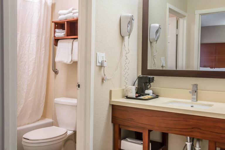 Bathroom 4, Comfort Inn Savannah Midtown, Chatham